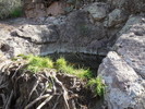 2015-01-18 :1: Bulldog Canyon Trailhead Sampler :: trekkin_gecko