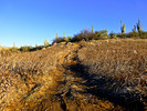 photo thumbnail #6