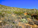 photo thumbnail #10