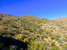 2015-01-16 :1: Lime Peak 3789 and Frustum #27 :: FLYING_FLIVER