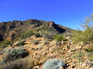photo thumbnail #13