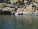 photo thumbnail #6