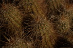 photo thumbnail #15