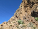 photo thumbnail #15