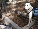 photo thumbnail #2