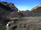 photo thumbnail #4
