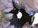 photo thumbnail #11