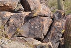 photo thumbnail #5