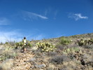 photo thumbnail #5