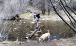 photo thumbnail #7