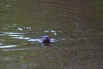 2015-01-20 :2: Pete