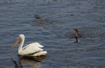 photo thumbnail #10