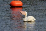 photo thumbnail #14