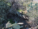 photo thumbnail #9