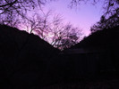 photo thumbnail #11