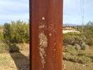 photo thumbnail #1