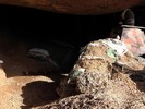 photo thumbnail #14