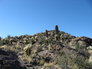 photo thumbnail #3