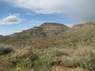 photo thumbnail #4