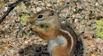 photo thumbnail #9