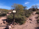 photo thumbnail #1