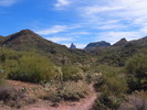 photo thumbnail #4