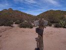 photo thumbnail #10