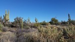 photo thumbnail #6