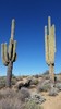 photo thumbnail #14