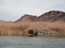 photo thumbnail #15