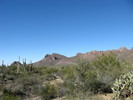 photo thumbnail #1