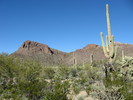 photo thumbnail #2