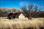 photo thumbnail #3