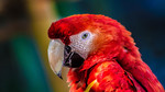 photo thumbnail #13