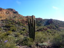 photo thumbnail #7