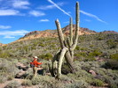 photo thumbnail #8