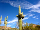 photo thumbnail #11