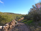 photo thumbnail #12