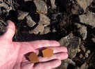 photo thumbnail #4