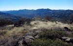 photo thumbnail #8