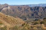 photo thumbnail #2
