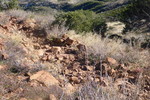 photo thumbnail #5