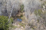 2015-01-24 :2: Lime Creek Cabin - Tonto NF :: AZWanderingBear