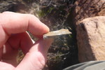 photo thumbnail #8