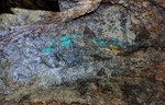 photo thumbnail #3
