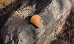 photo thumbnail #14