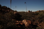 photo thumbnail #14