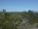 photo thumbnail #3