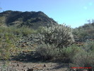 photo thumbnail #6