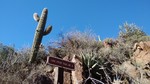 photo thumbnail #6